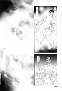 Page 252 of Seraphic Feather 10 - preview thumbnail