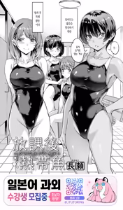 Houkago Nettaigyo | 방과후 열대어 — hentai manga cover on Fhentai
