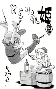 Page 3 of Toraware Hime Zenpen - preview thumbnail