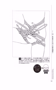 Page 110 of Do It Right Now! Illustrated Bondage Techniques Manual 2 - Light Maniac Text Series - preview thumbnail