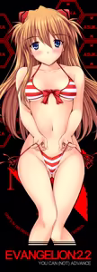 Page 497 of Evangelion Image Collection #1 - preview thumbnail