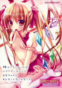 Page 2 of Imouto no Flandre ga Twin Tail ni shite Oniichan ni Anna koto ya Konna koto - preview thumbnail
