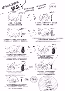 Page 26 of ポケルス再録 (ポケットモンスター)（牢大渣机翻） - preview thumbnail