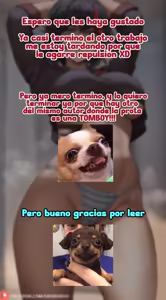 Page 24 of Mónǚ de Shìyàn｜¡El experimento de la bruja! - preview thumbnail