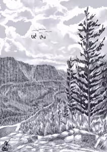 Page 40 of ¡Haciendo Senderismo En La Naturaleza Contigo! - preview thumbnail