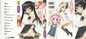 Tsuntsun Shichau Otoshigoro — hentai manga cover on Fhentai