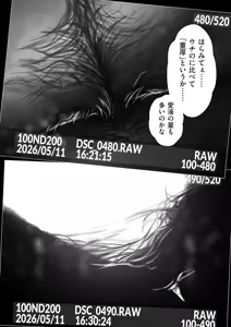 Page 240 of COMIC Kuriberon DUMA 2026-09 Vol.88 - preview thumbnail