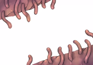 Page 294 of Tsuchinoshita Kaeru - preview thumbnail