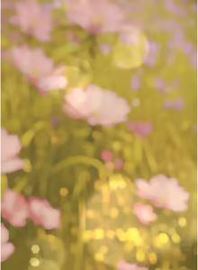 Page 312 of 义父 | 義父 1-30 - preview thumbnail