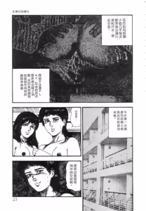 Page 25 of Shiro no Mokushiroku Vol. 5 - Ninshoujo Erika no Shou - preview thumbnail