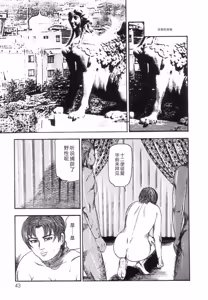 Page 45 of Shiro no Mokushiroku Vol. 7 - Shiiku Ningyou Erika no Shou - preview thumbnail