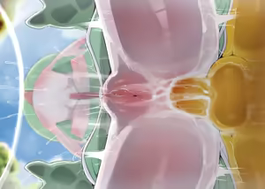 Page 902 of Pokemon - preview thumbnail