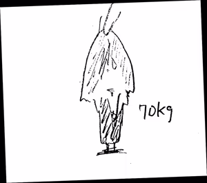 Page 504 of Image Set [Bottom Vergil](Devil May Cry) [Chinese]③ - preview thumbnail