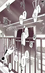 Page 721 of ぽりうれたん (19417472) 2026.09.15 - preview thumbnail
