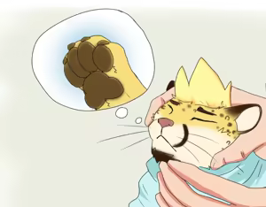 Page 366 of PacheRiggs - preview thumbnail