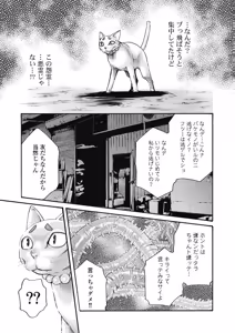 Page 33 of Tera Umare Neko no Tama-san Volume 2 - preview thumbnail