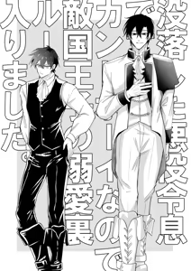 Page 80 of I'm the son of a fallen villain, but since I'm a Cuntboy, I ended up in the "doting enemy prince" hidden route - preview thumbnail