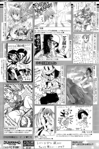 Page 252 of COMIC Papipo 2006-10 - preview thumbnail