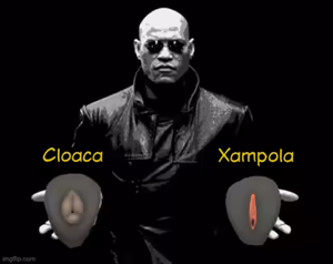 Page 613 of Memes Eróticos Explicitos - preview thumbnail