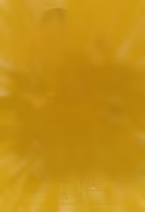 Page 1097 of ragi/12448784 - preview thumbnail