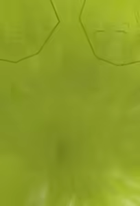 Page 340 of ragi/12448784 - preview thumbnail
