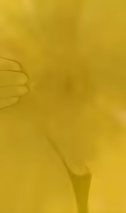 Page 380 of ragi/12448784 - preview thumbnail