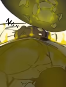 Page 532 of ragi/12448784 - preview thumbnail