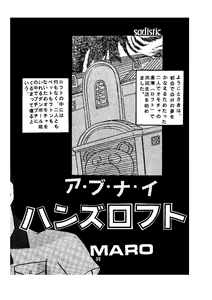 Page 30 of sadistic LaserDisc - preview thumbnail