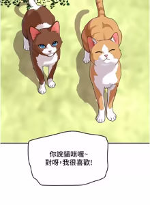 Page 292 of 斯文坏猫猫 | 斯文壞貓貓 1-16 - preview thumbnail