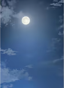 Page 1033 of 花容湿色:取花点 | 花容濕色:取花點 1-119 - preview thumbnail