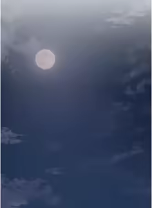 Page 597 of 花容湿色:取花点 | 花容濕色:取花點 1-119 - preview thumbnail