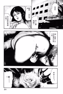 Page 253 of Wakazuma akuma no ikenie - preview thumbnail