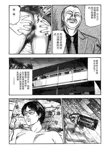 Page 164 of Hanayome Dorei - preview thumbnail