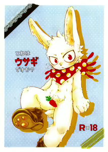 Kore Ha Usagi Desuka - hentai manga cover image