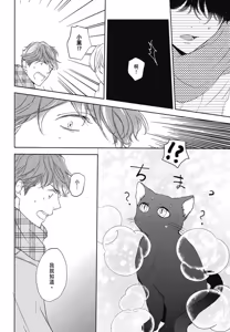 Page 23 of Neko to Spica︱与猫恋爱的方法 - preview thumbnail