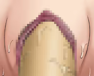 Page 563 of Dancing F - Saruban no Hasaibi HG - preview thumbnail