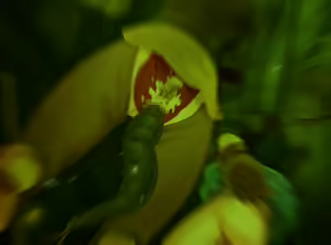 Page 9 of Slave Worm - preview thumbnail
