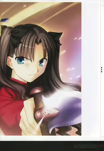 Page 254 of Fate/complete material I - Art material. - preview thumbnail