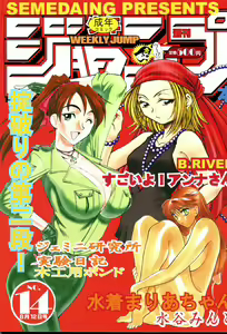 SEMEDAIN G WORKS vol. 14 - Shuukan Shounen Jump Hon — hentai manga cover on Fhentai