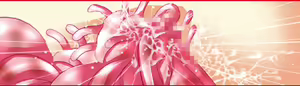 Page 8 of Yuusha Kokonya Volume.2 - preview thumbnail