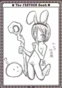 Page 3 of Yawakehon - The FEATHER book - preview thumbnail