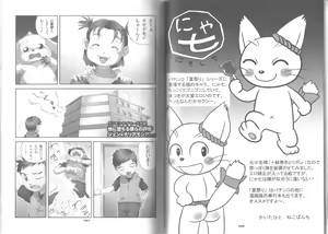 Page 34 of Poccharibon - preview thumbnail