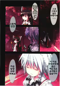 Page 13 of Kichiku Ou Reimu - Touhou Koumakyou Kouryakubon -Koumakan Hen- | 귀축왕 레이무 - 동방홍마 향 공략본 -홍마관편- - preview thumbnail
