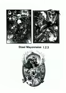 Page 3 of Steel Mayonnaise 1.2.3 - preview thumbnail