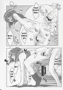 Page 13 of RENEWS - preview thumbnail