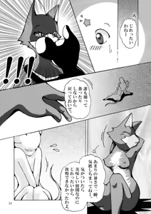Page 13 of Seishun 18kin Kippu 2 - preview thumbnail