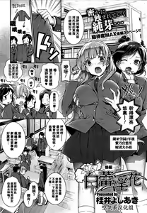 Hakurai Inka Kouhen -Saki- — hentai manga cover on Fhentai