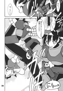 Page 39 of Ruuen Rouga CPS - preview thumbnail
