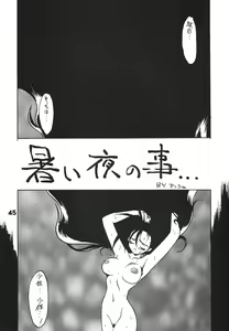 Page 46 of Ruuen Rouga CPS - preview thumbnail