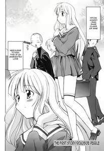 Page 2 of Roadside Pebble - preview thumbnail